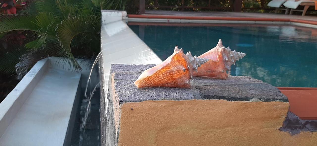 SoufrièreKaye Mango别墅 外观 照片
